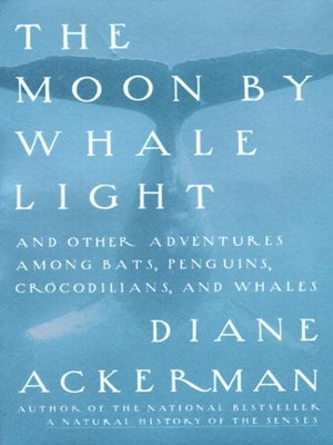 cover image of The Moon by Whale Light